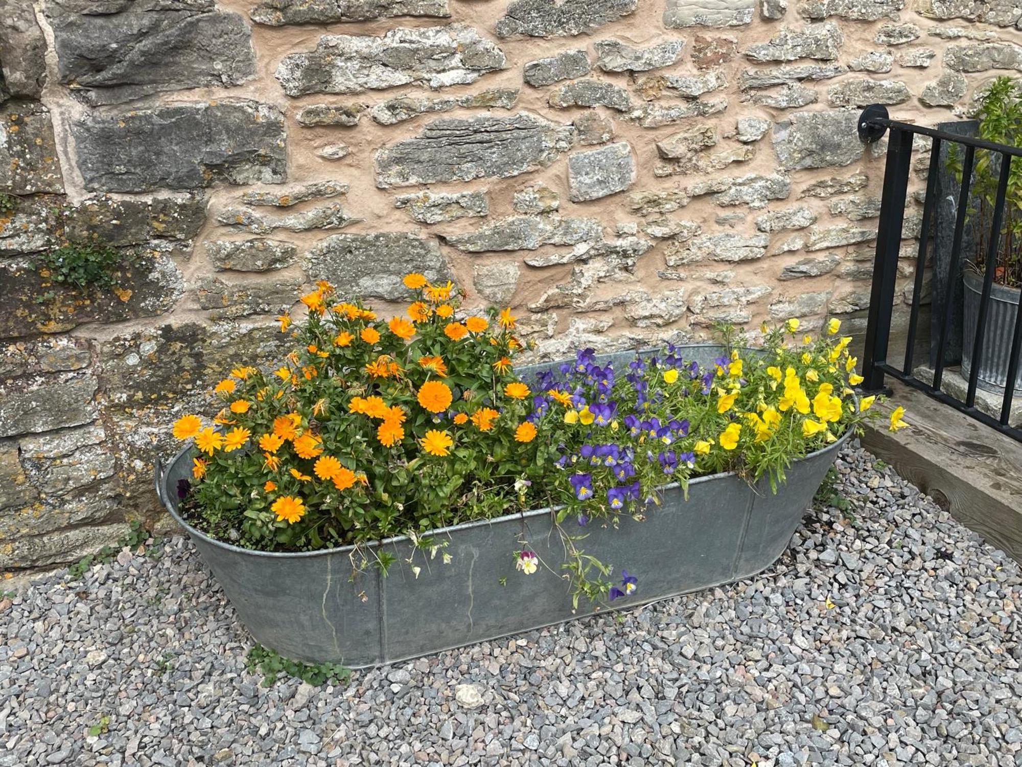 Acorn Cottage Ross-on-Wye Екстериор снимка